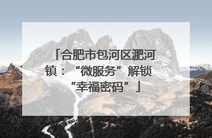 合肥市包河区淝河镇：“微服务”解锁“幸福密码”