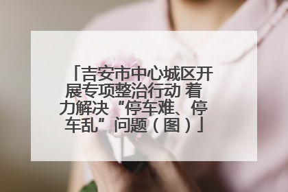 吉安市中心城区开展专项整治行动 着力解决“停车难、停车乱”问题（图）
