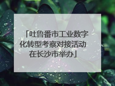 吐鲁番市工业数字化转型考察对接活动在长沙市举办
