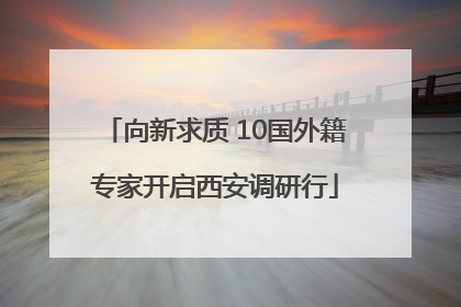 向新求质 10国外籍专家开启西安调研行