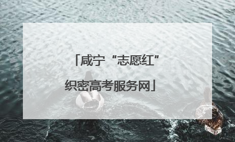 咸宁“志愿红”织密高考服务网