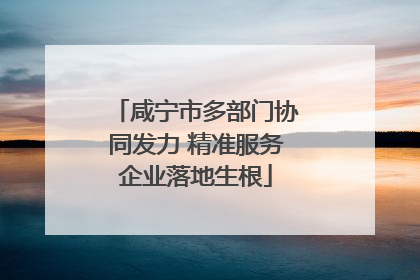 咸宁市多部门协同发力 精准服务企业落地生根