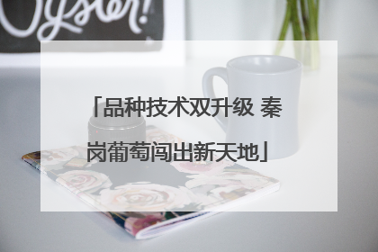 品种技术双升级 秦岗葡萄闯出新天地