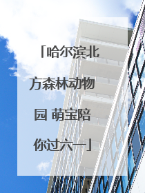 哈尔滨北方森林动物园 萌宝陪你过六一