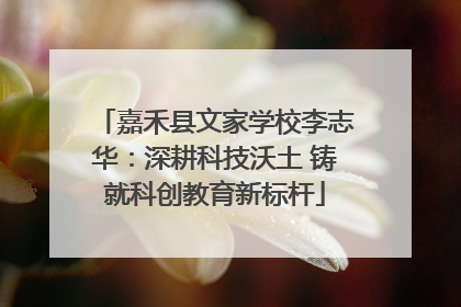 嘉禾县文家学校李志华：深耕科技沃土 铸就科创教育新标杆