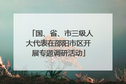 国、省、市三级人大代表在邵阳市区开展专题调研活动