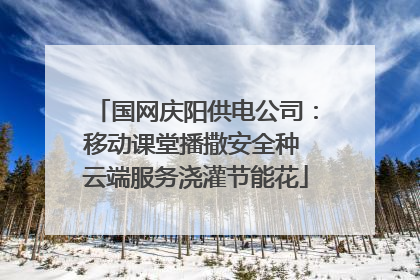 国网庆阳供电公司：移动课堂播撒安全种 云端服务浇灌节能花