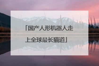 国产人形机器人走上全球最长猫道