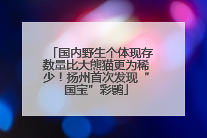 国内野生个体现存数量比大熊猫更为稀少！扬州首次发现“国宝”彩鹮