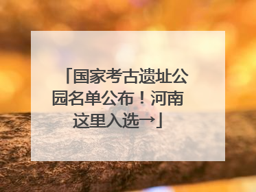 国家考古遗址公园名单公布！河南这里入选→