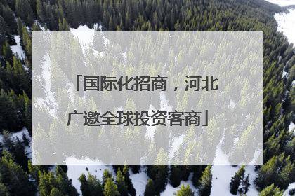 国际化招商，河北广邀全球投资客商