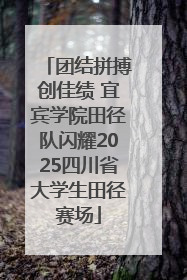 团结拼搏创佳绩 宜宾学院田径队闪耀2025四川省大学生田径赛场