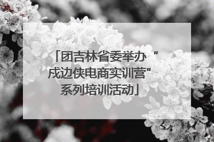 团吉林省委举办“戍边侠电商实训营”系列培训活动