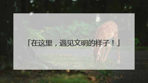 在这里，遇见文明的样子！