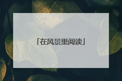 在风景里阅读