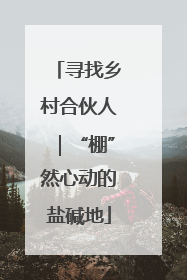 寻找乡村合伙人｜“棚”然心动的盐碱地