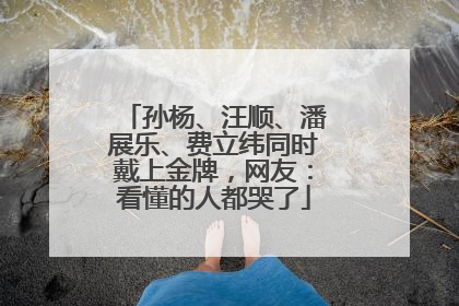 孙杨、汪顺、潘展乐、费立纬同时戴上金牌，网友：看懂的人都哭了