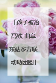 孩子被落高铁 曲阜东站多方联动助团圆