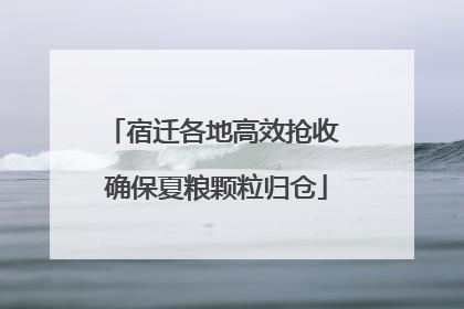 宿迁各地高效抢收 确保夏粮颗粒归仓