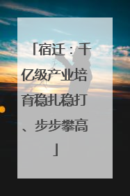 宿迁：千亿级产业培育稳扎稳打、步步攀高