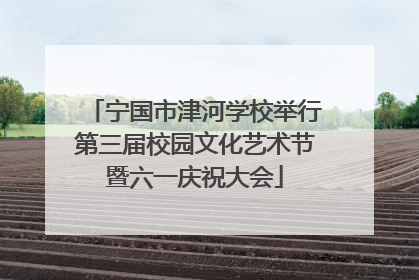 宁国市津河学校举行第三届校园文化艺术节暨六一庆祝大会