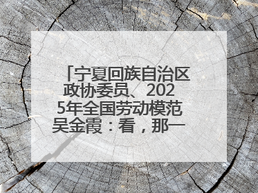 宁夏回族自治区政协委员、2025年全国劳动模范吴金霞：看，那一片金色的霞光