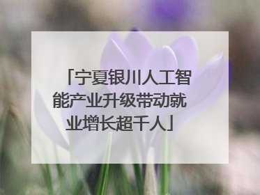 宁夏银川人工智能产业升级带动就业增长超千人