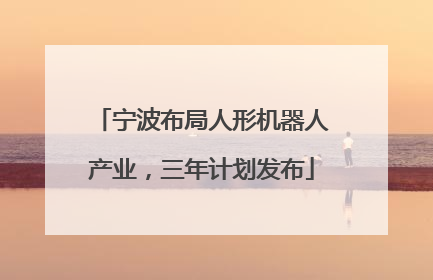 宁波布局人形机器人产业，三年计划发布