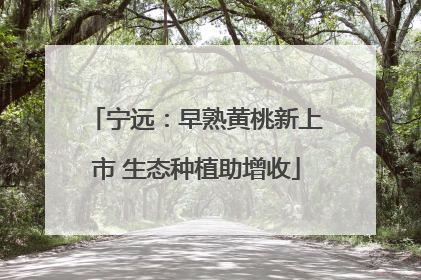 宁远：早熟黄桃新上市 生态种植助增收