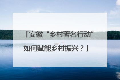 安徽“乡村著名行动”如何赋能乡村振兴？