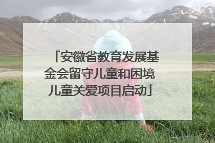 安徽省教育发展基金会留守儿童和困境儿童关爱项目启动
