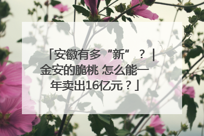 安徽有多“新”？｜金安的脆桃 怎么能一年卖出16亿元？