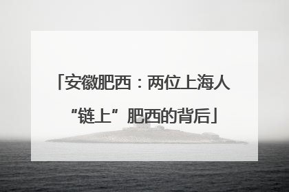 安徽肥西：两位上海人“链上”肥西的背后