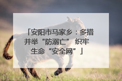 安阳市马家乡：多措并举“防溺亡” 织牢生命“安全网”