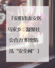 安阳市龙安区马家乡：凝聚社会合力 织密防汛“安全网”