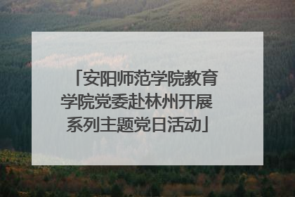安阳师范学院教育学院党委赴林州开展系列主题党日活动