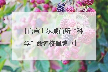 官宣！东城首所“科学”命名校揭牌→