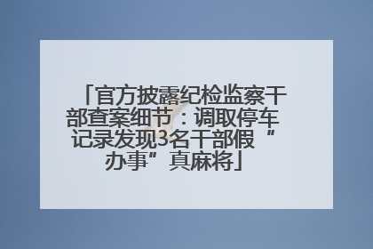 官方披露纪检监察干部查案细节：调取停车记录发现3名干部假“办事”真麻将