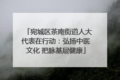 宛城区茶庵街道人大代表在行动：弘扬中医文化 把脉基层健康