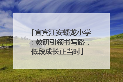 宜宾江安蟠龙小学：教研引领书写路，低段成长正当时