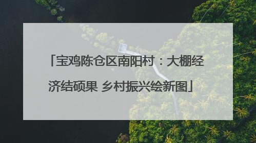 宝鸡陈仓区南阳村：大棚经济结硕果 乡村振兴绘新图