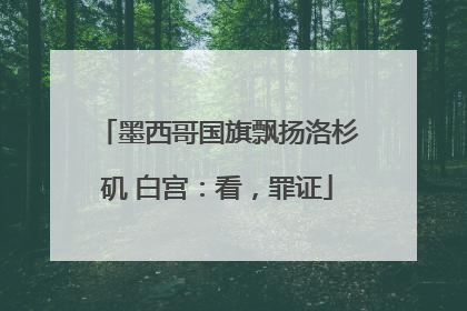 墨西哥国旗飘扬洛杉矶 白宫：看，罪证