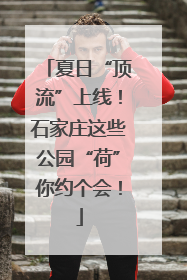 夏日“顶流”上线！石家庄这些公园“荷”你约个会！