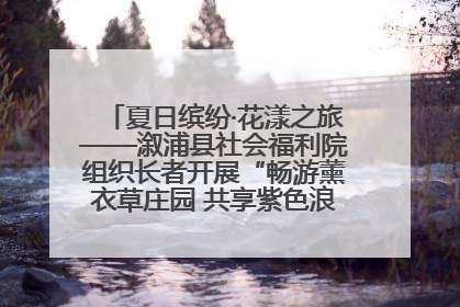 夏日缤纷·花漾之旅——溆浦县社会福利院组织长者开展“畅游薰衣草庄园 共享紫色浪漫”户外活动
