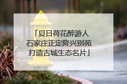 夏日荷花醉游人 石家庄正定隆兴别苑打造古城生态名片