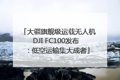 大疆旗舰级运载无人机DJI FC100发布：低空运输集大成者