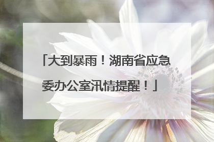大到暴雨！湖南省应急委办公室汛情提醒！