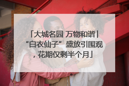 大城名园 万物和谐│“白衣仙子”盛放引围观，花期仅剩半个月