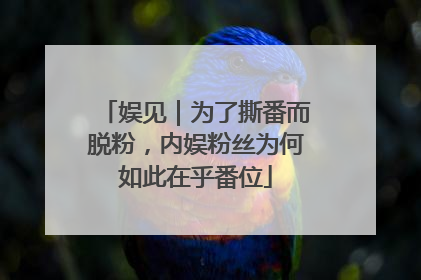 娱见｜为了撕番而脱粉，内娱粉丝为何如此在乎番位