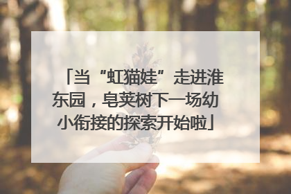 当“虹猫娃”走进淮东园，皂荚树下一场幼小衔接的探索开始啦